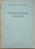 Cromatografia Gazelor - Mariana Esayan, Leon Esayan