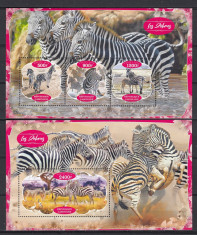 Gabon 2020 - Fauna Africana - ZEBRE - BL + KB - MNH foto