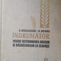 Îndrumător pentru determinarea bolilor și dăunătorilor la semințe E. Radulescu