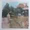 STEFAN LAZARESCU - ROMANTE - Disc vinil - Electrecord EPE 01337, stare foarte buna