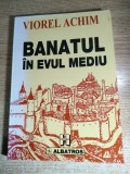 Banatul in evul mediu - Studii - Viorel Achim (Editura Albatros, 2000)