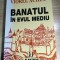 Banatul in evul mediu - Studii - Viorel Achim (Editura Albatros, 2000)