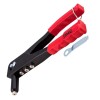 Cleste nituit standard, Beorol