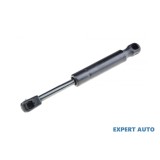 Amortizor capota fata Peugeot 406 (1995-2005)[8B,8E/F,8C] #1