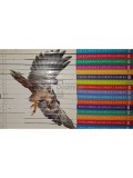 Jayne Parsons - Enciclopedia ilustrata a familiei, 16 vol. (Editia: 2008)