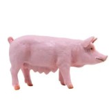 Figurina Papo Prietenii de la ferma - Scroafa