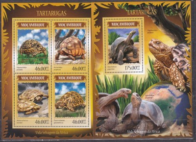 DB Fauna Mozambic Broasca Testoasa MS + SS MNH foto