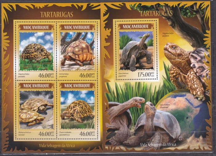 DB Fauna Mozambic Broasca Testoasa MS + SS MNH