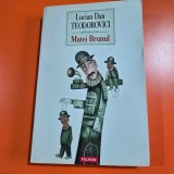 Matei Brunul - Lucian Dan Teodorovici