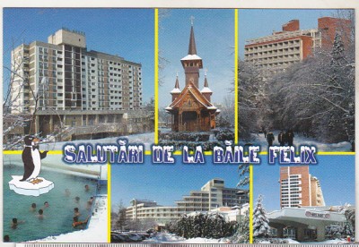 bnk cp Baile Felix - Vedere - necirculata foto