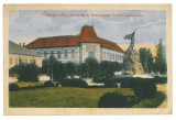 2482 - TARGU-JIU, School, statue, Romania - old postcard - used - 1917, Circulata, Printata