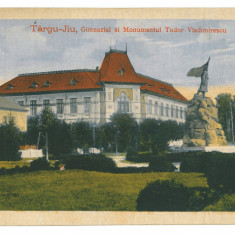 2482 - TARGU-JIU, School, statue, Romania - old postcard - used - 1917