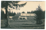 3156 - POIANA BRASOV, Cabane, Romania - old postcard, real Photo - unused, Necirculata, Fotografie