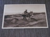 Cumpara ieftin Fotografie Originală cu Măgar și &Icirc;ncărcătură pe Plajă,Carte Poștală Vintage Franceză Anii &rsquo;30