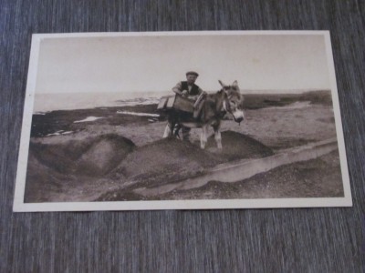 Fotografie Originală cu Măgar și &amp;Icirc;ncărcătură pe Plajă,Carte Poștală Vintage Franceză Anii &amp;rsquo;30 foto
