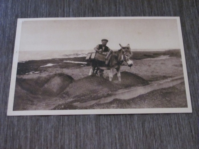 Fotografie Originală cu Măgar și &Icirc;ncărcătură pe Plajă,Carte Poștală Vintage Franceză Anii &rsquo;30