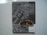 Evanghelia dupa Matei. Capitolele 24-28 - Beniamin Faragau, 1998, Alta editura