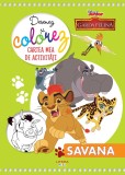Cumpara ieftin Disney. Garda felina. Desenez si colorez. Cartea mea de activitati