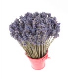 Cumpara ieftin Aranjament floral - Galetusa cu lavanda, rosu | Fleurane