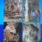 HOPCT LOT 2739 PESTERA URSILOR -JUD BIHOR-4 CARTI POSTALE-NECIRCULATE