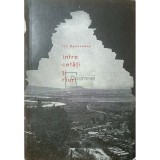 Ion Rahoveanu - Intre cetati si rauri (Editia: 1965)