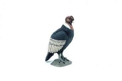 PAPO FIGURINA CONDOR foto