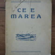 COMANDOR CORNELIU BUCHHOLTZER - CE E MAREA? - (cu autograf) - 1925