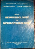 DE LA NEUROBIOLOGIE LA NEUROPSIHOLOGIE,CONSTANTIN BALACEANU-STOLNICI,A.BOROSANU,M.BERESCU/ EDITURA FUNDATIEI,,ANDREI SAGUNA&quot;CONSTANTA 2006/FORMAT MARE