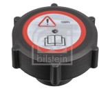 FEBI BILSTEIN 172489 buson,vas expansiune