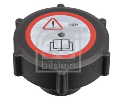 FEBI BILSTEIN 172489 buson,vas expansiune foto