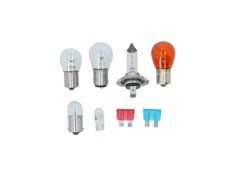 Trusa becuri auto si sigurante Carpoint cu bec halogen H7 12V 55W , 6 becuri + 2 sigurante