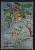 CPIB 19860 CARTE POSTALA - FELICITARE. RAMURA DE BRAD, CAPRIOARA, ARGINTIE, Circulata, Fotografie