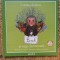 Bach si orga fermecata Cristina Andone NU CONTINE CD