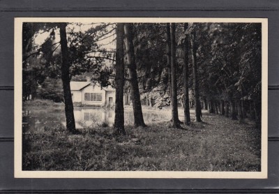 REGHIN VEDERE GENERALA REGHINUL SASESC foto