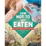 How Not to Get Eaten