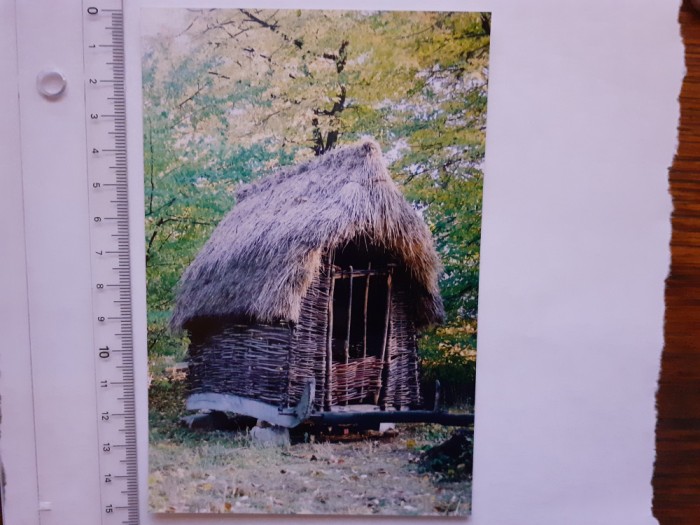 Fotografie cu casă 10