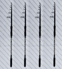 Lanseta carbon ROBINHAN DEXTER Tele Carp 3,90m ACTIUNE 3,75lbs. INELE MARI