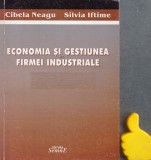 Economia si gestiunea firmei industriale Cibea Neagu, Silvia Iftimie