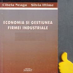 Economia si gestiunea firmei industriale Cibea Neagu, Silvia Iftimie