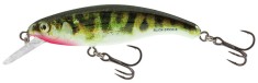 Salmo Wobler Slick Stick Floating 6cm Holographic Stickleback foto
