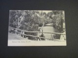 Carte poștală veche Australia &ndash; National Park Sydney NSW
