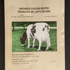 HRANIREA VACILOR pt PRODUCTIA de LAPTE RECORD 44 pag Vaci Vaca Bovine Taurine