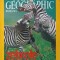 NATIONAL GEOGRAPHIC ROMANIA, SEPTEMBRIE 2003. ZEBRELE-WILLIAM L. ALLEN-219807