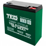 Acumulator AGM VRLA 12V 25A Deep Cycle 181mm x 76mm x h 167mm pentru vehicule electrice M5 TED Battery Expert Holland TED003782 (2) SafetyGuard Survei