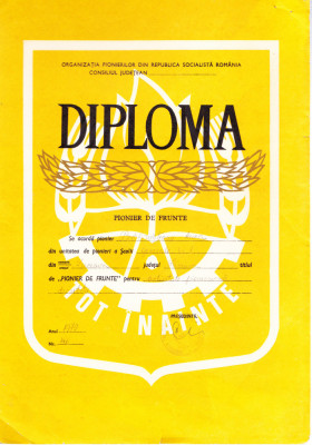 AMS# - DIPLOMA PIONIER DE FRUNTE SUCEAVA 1979 foto