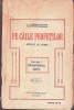 C8875N Pe căile profeților, atunci și acum, volumul I, Constantinopolul, Egiptul de I Chiru-Nanov, 1922, București