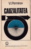 Cauzalitatea - V.I. Perminov