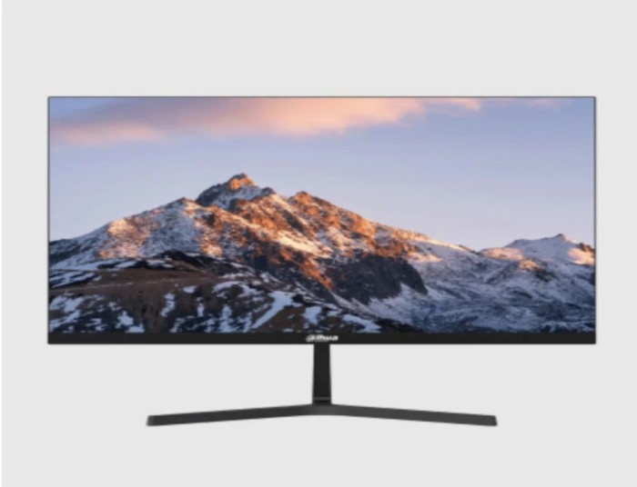 Monitor Dahua 23.8&quot; DHI-LM24-B200S
