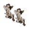 Set doi ingerasi decorativi din rasini VD-142