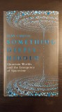 Something Deeply Hidden (hardcover) - Sean Carroll